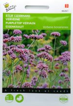 Verbena Bonariensis Seed.